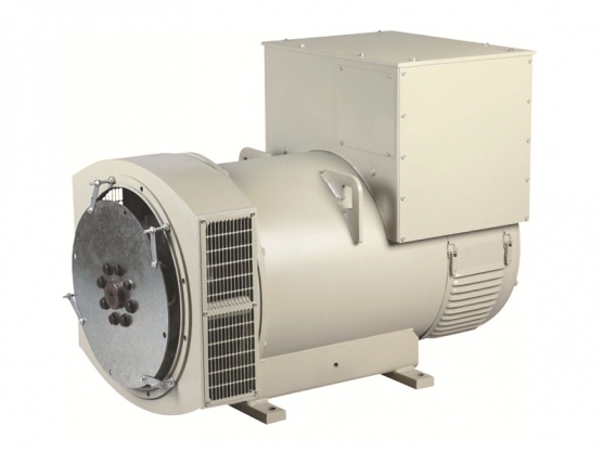 314 စီးရီး Brushless က Synchronous AC အ Alternative 